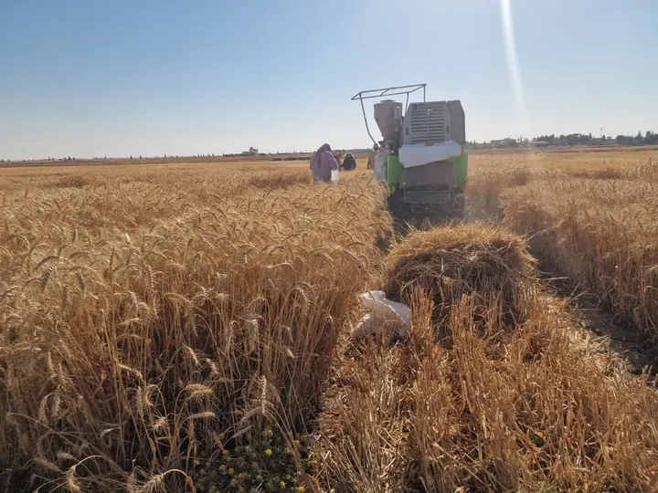 الحصاد – AGROVA